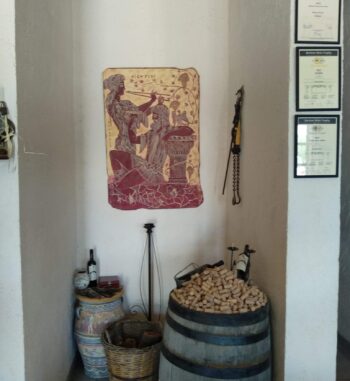 Stylianou winery barell