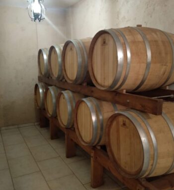Stylianou winery barells